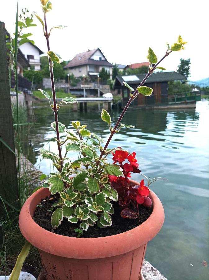 Dina Apartman Jablanicko Jezero Konjic Exterior photo